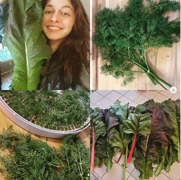 TrueNute Vegetative Growth & Flower & Fruit Mix Singles