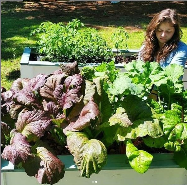 TrueNute Vegetative Growth