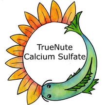 Load image into Gallery viewer, TrueNute Calcium Sulfate