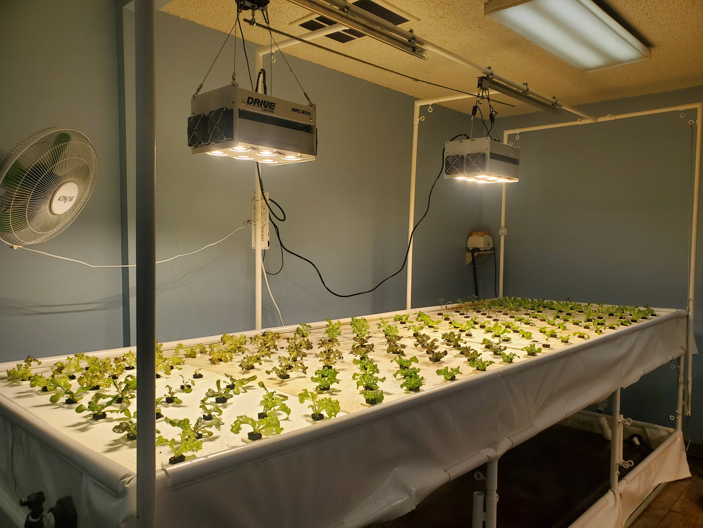 TrueNute Vegetative Growth