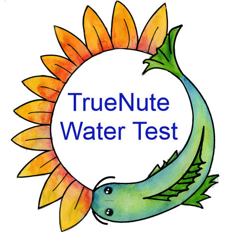 Professional Water Testing