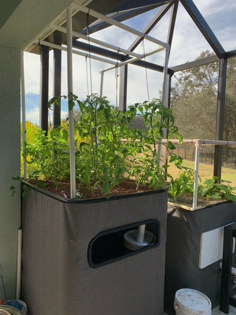 TrueNute Vegetative Growth & Flower & Fruit Mix Singles