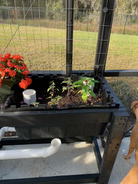 TrueNute Vegetative Growth & Flower & Fruit Mix Singles